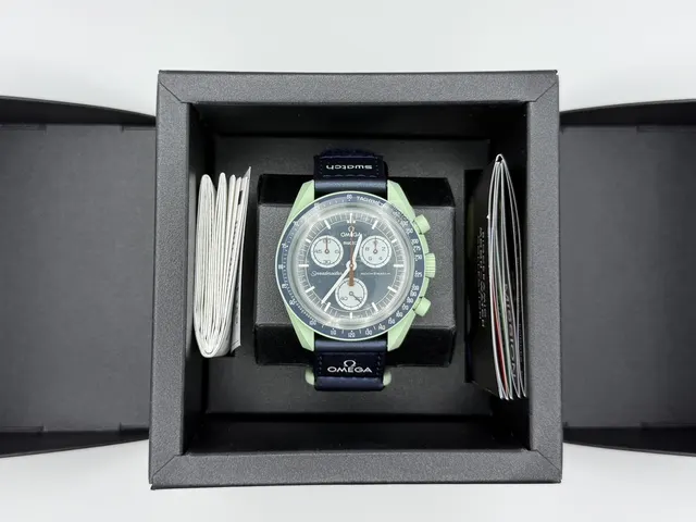 Swatch Moonswatch SO33G100