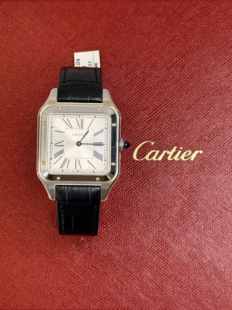 cartier santos WSSA0022